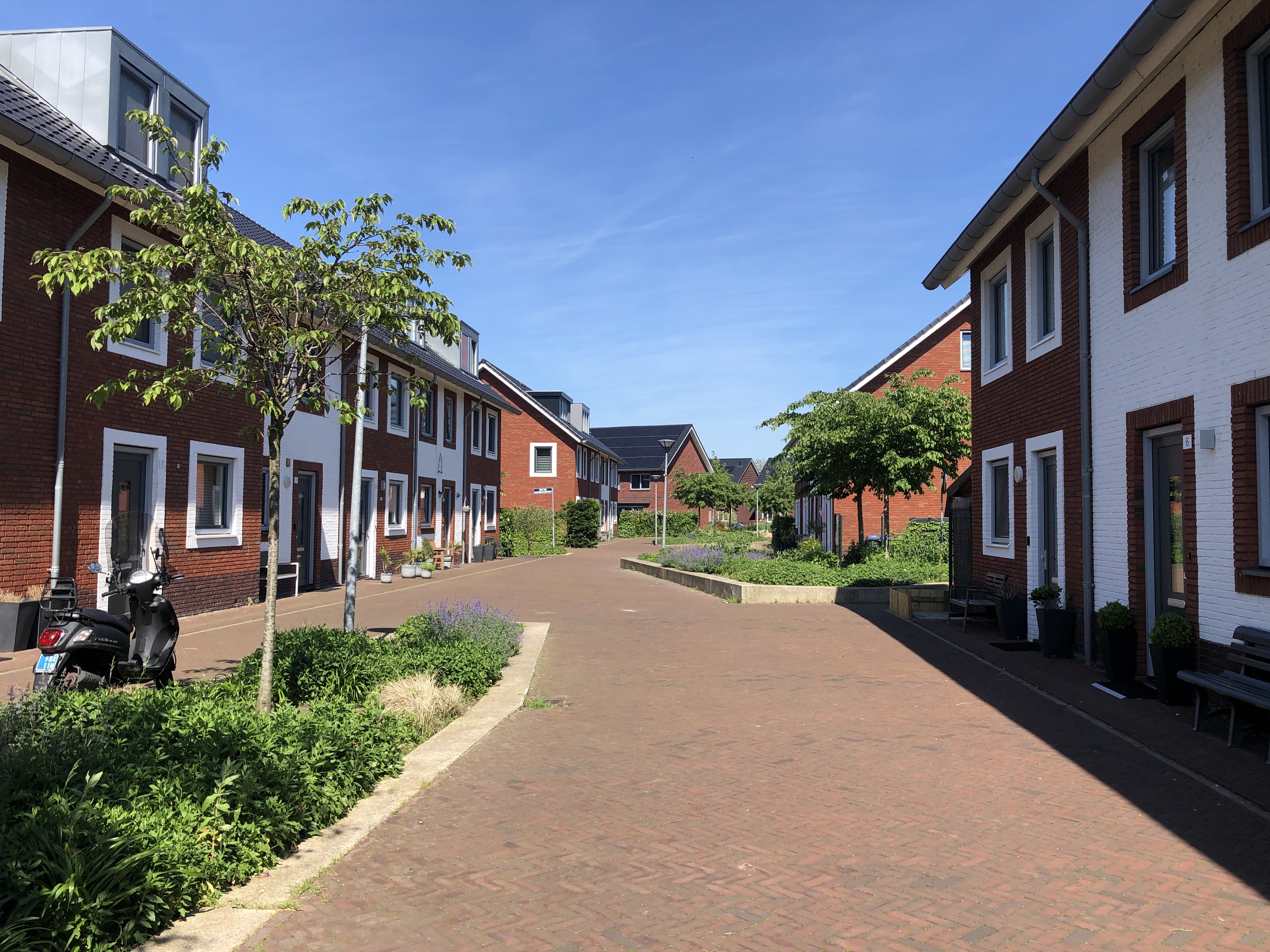 afbeelding binnen de regeling