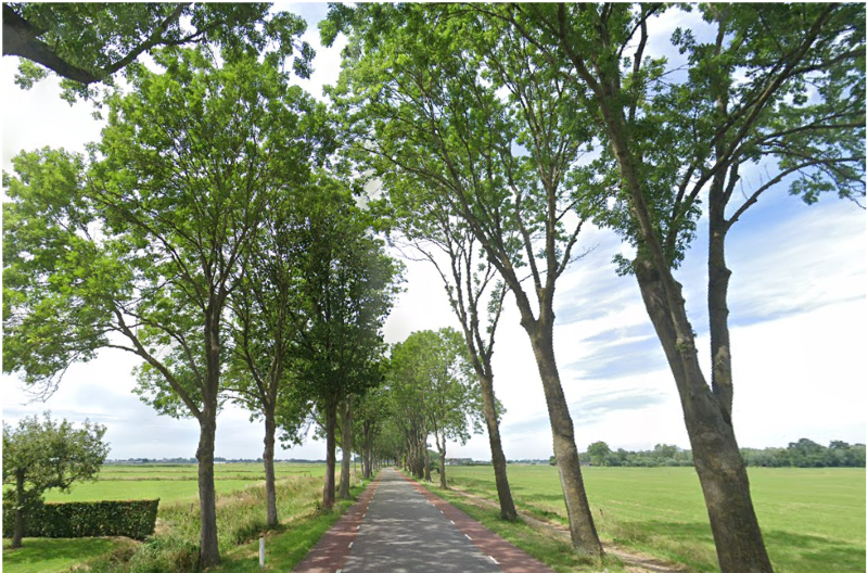 afbeelding binnen de regeling