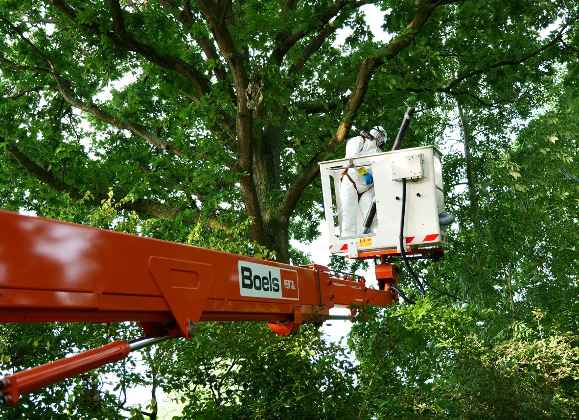 afbeelding binnen de regeling