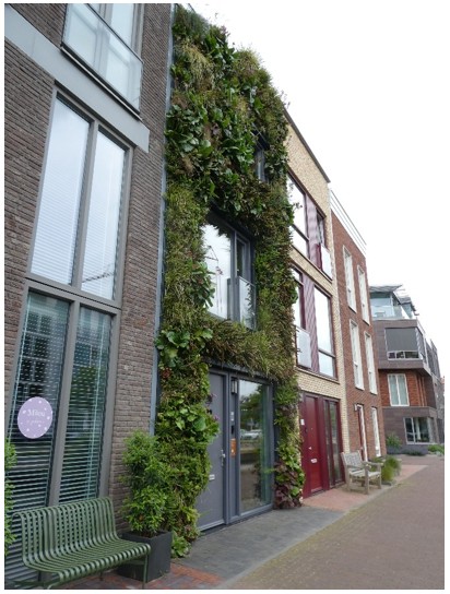 afbeelding binnen de regeling