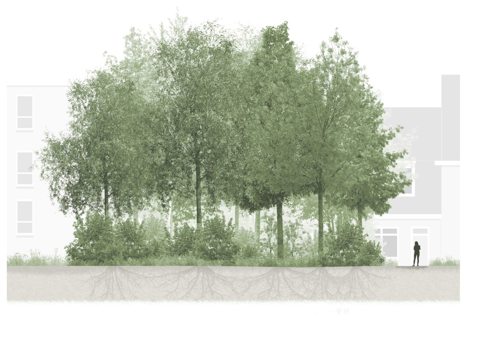 afbeelding binnen de regeling