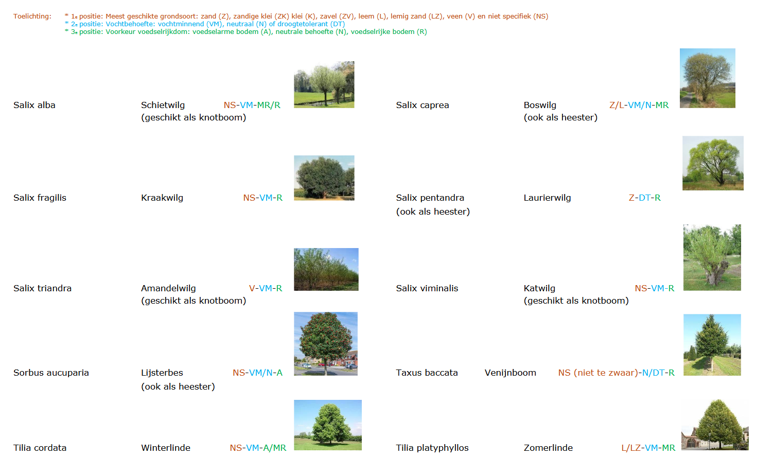 afbeelding binnen de regeling