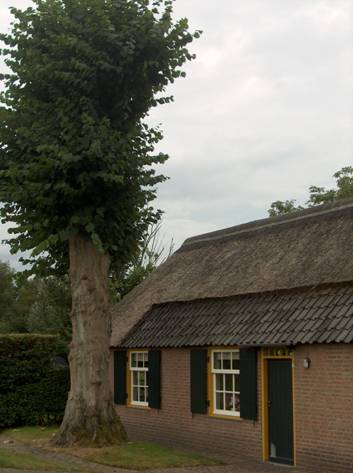 afbeelding binnen de regeling