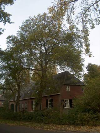 afbeelding binnen de regeling