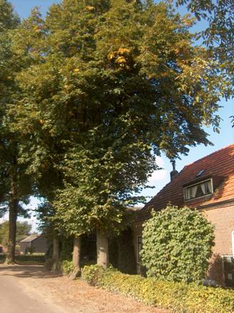 afbeelding binnen de regeling