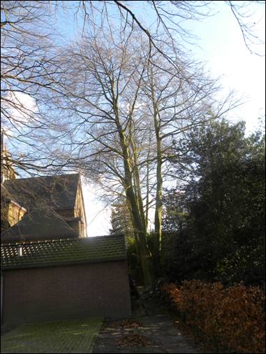 afbeelding binnen de regeling