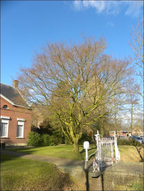 afbeelding binnen de regeling