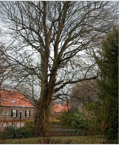 afbeelding binnen de regeling
