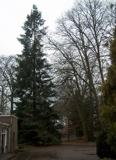 afbeelding binnen de regeling