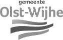 Logo van Olst-Wijhe